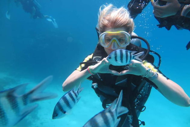 Фото экскурсии - Увлекательный круиз на Оранжевый остров с погружением под воду - 14