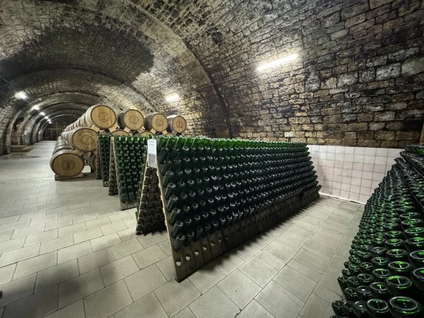 Винное искусство в Дербенте - фото 1