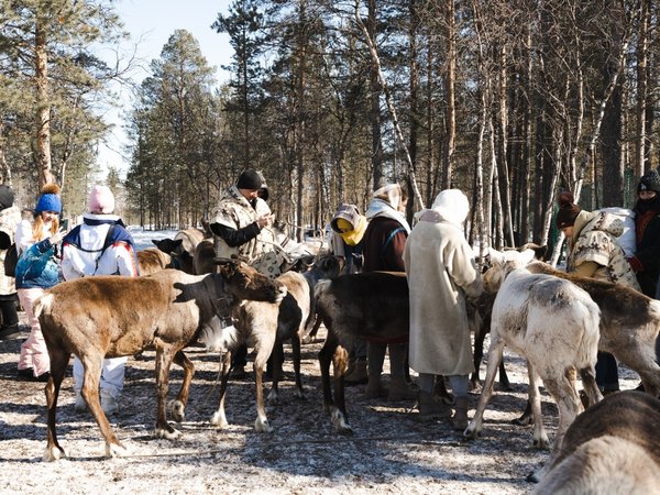 Саамские мотивы: поездка в этнодеревню в окрестностях Ловозера - фото 3