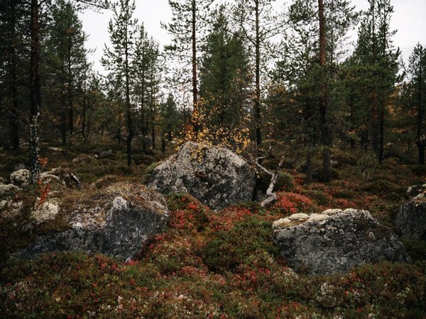 Русский Север и его стихии - фото 3