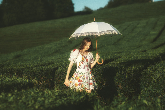 Фото - экскурсия: Откройте неизведанный Сочи: комфортное путешествие в дикую природу Солох-Аула