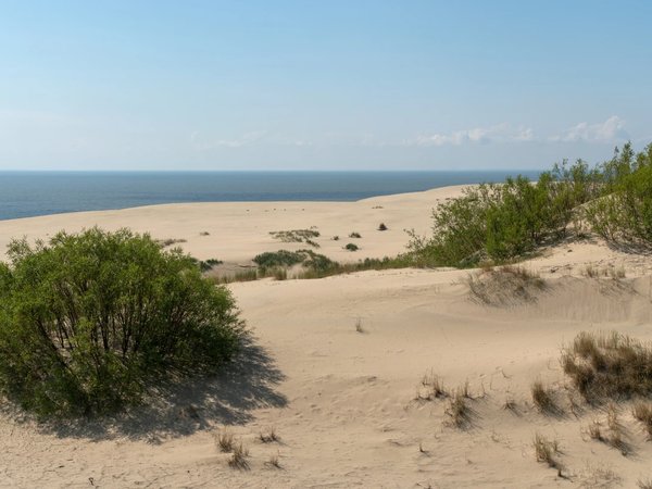 Куршская коса + Зеленоградск (из Калининграда) - фото 4
