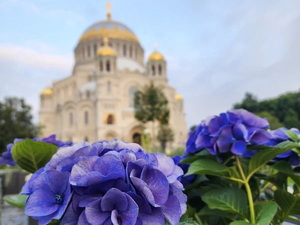 Веб-квест по Кронштадту в вашем телефоне