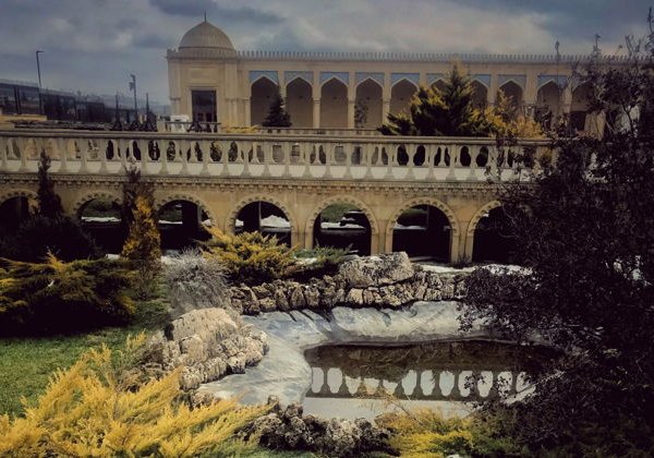Познакомьтесь с уникальными и дружелюбными альпаками - фото 2