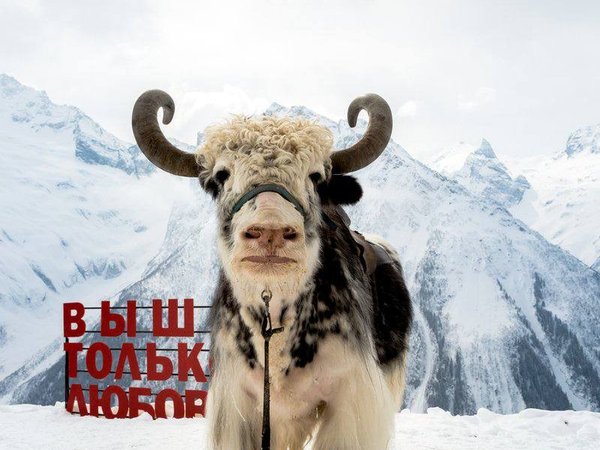 Завораживающий Домбай: на джипе из Кисловодска - фото 2