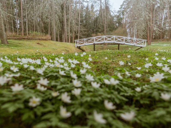 Групповая автобусная экскурсия в Пушкинские Горы - фото 3