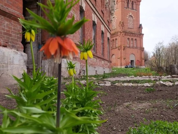 Старожилово: экскурсия в усадьбу фон Дервиза - фото 3