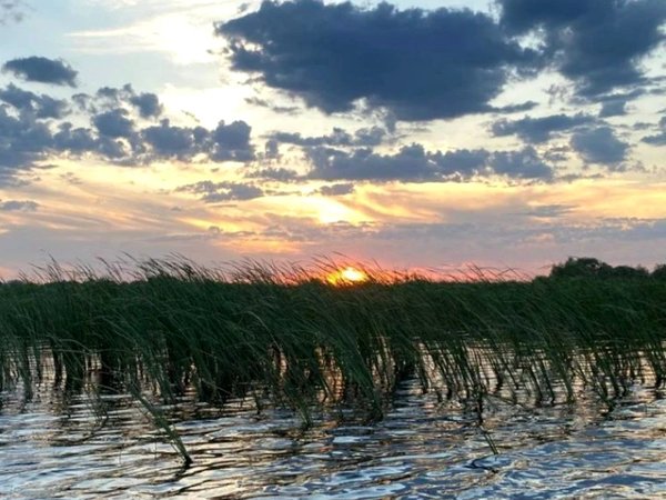 Закат в Энгельсе — на сапбордах по Волге за острова - фото 2