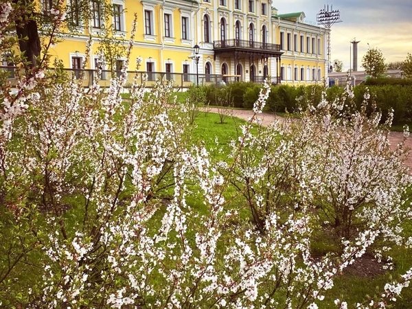 Тверь. Комедия в старом городе (в группе) - фото 4