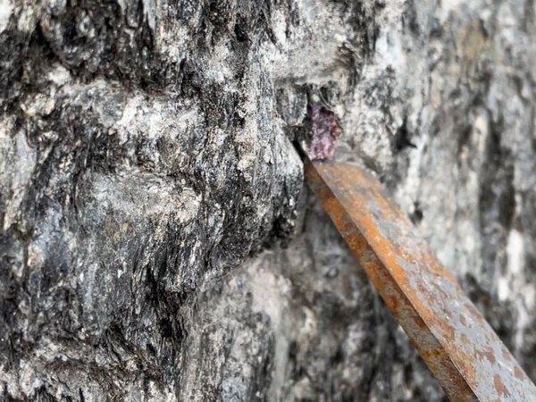 Из Сортавалы — к карельским водопадам и гранатовым приискам - фото 3