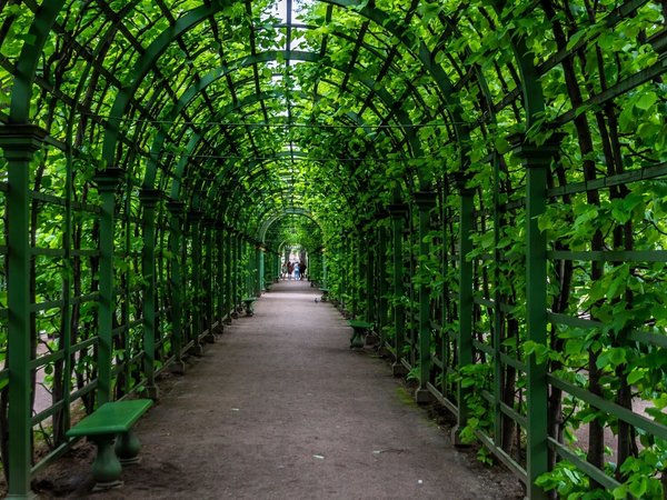Квест-прогулка для детей 5–15 лет по Летнему саду - фото 2