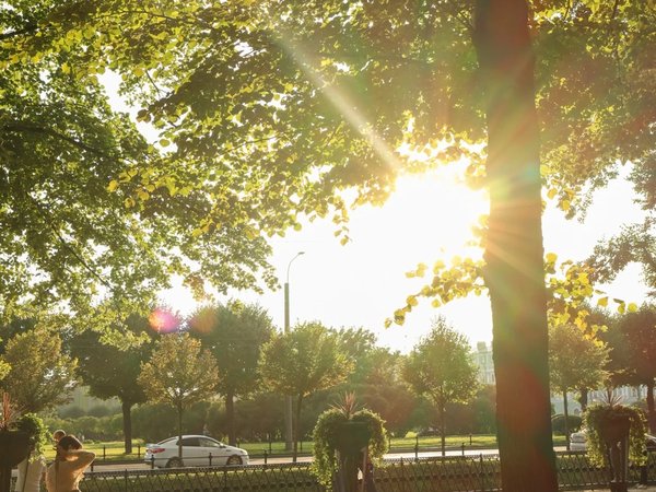 Квест-прогулка для детей 5–15 лет по Летнему саду - фото 3