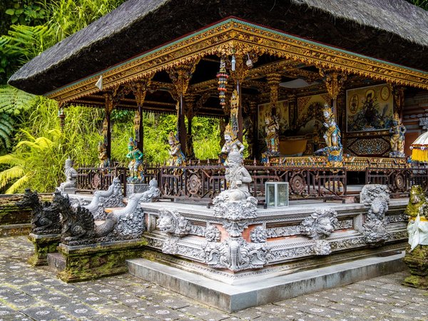 Самобытный Убуд, лес обезьян и кофейные плантации - фото 1