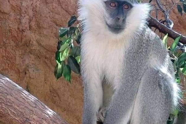 Фото экскурсии - Гранд Аквариум: подводный мир Красного моря вблизи - 6