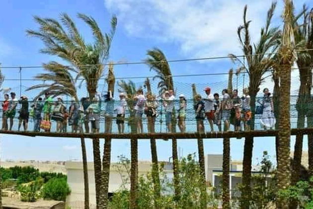 Фото экскурсии - Гранд Аквариум: подводный мир Красного моря вблизи - 7