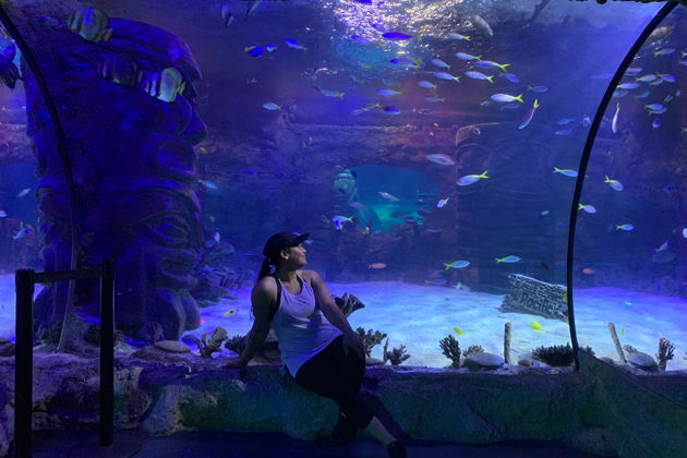 Фото экскурсии - Гранд Аквариум: подводный мир Красного моря вблизи - 12