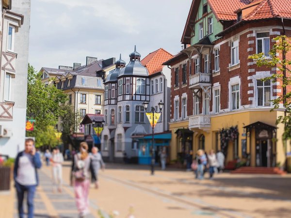 Калейдоскоп русской Балтики: кошачье царство и Куршская коса - фото 1