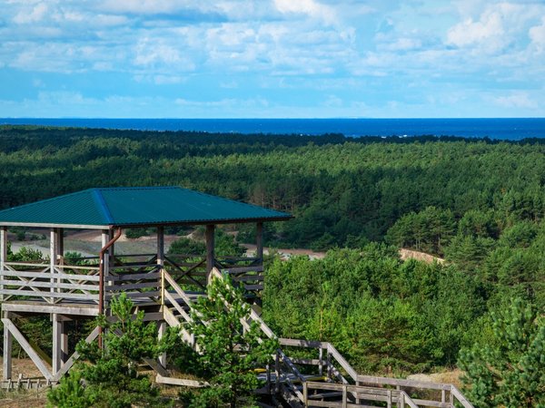 Калейдоскоп русской Балтики: кошачье царство и Куршская коса - фото 4