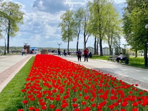 Влюбиться в Ярославль за 2 часа! Индивидуальная экскурсия - фото 4