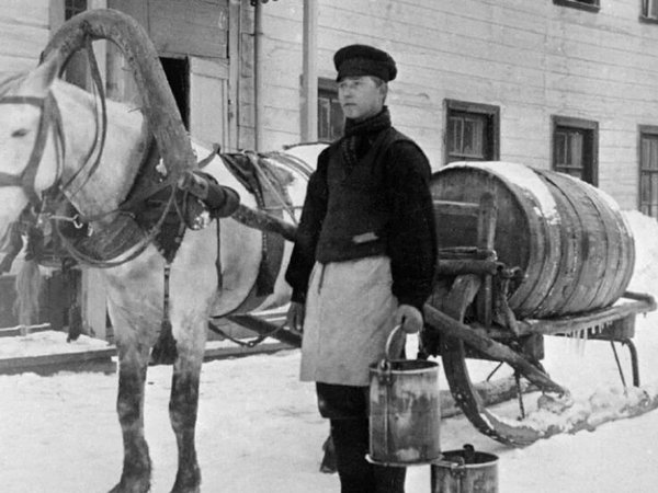Бытовая жизнь без прикрас: где и как жили петербуржцы - фото 2