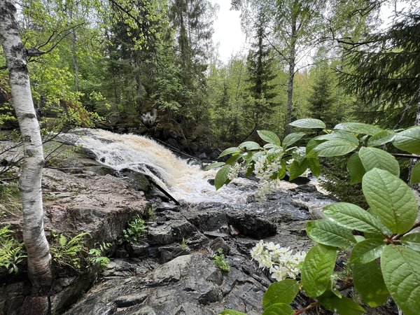 Ладожские шхеры и водопады Карелии за один день - фото 2