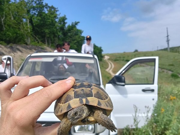 К Ласточкиным гнёздам и Кипарисовому озеру — на внедорожнике - фото 4