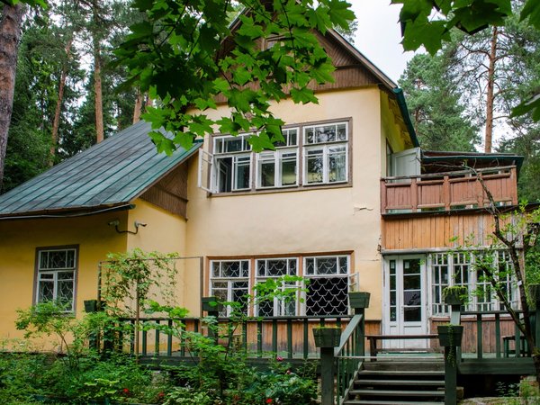 Переделкино с местным жителем и членом Союза писателей - фото 3