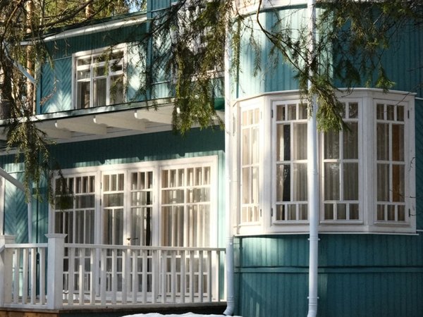 Переделкино с местным жителем и членом Союза писателей