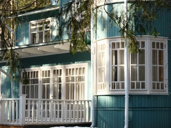 Переделкино с местным жителем и членом Союза писателей - фото 1