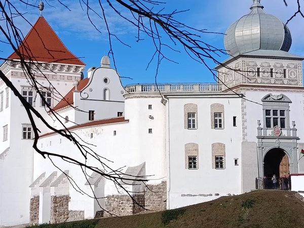 Королевский Гродно: замки, костёлы и дворцы вельмож - фото 2