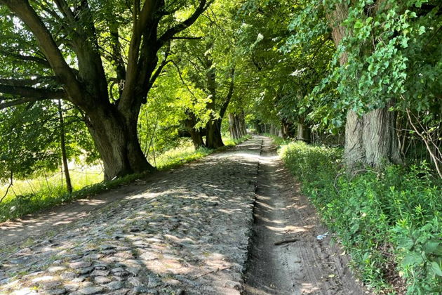 Балтика за один день — Куршская коса, Светлогорск, Зеленоградск-4