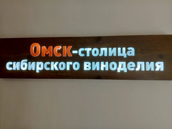Обзорная экскурсия по Омску на автомобиле - фото 2