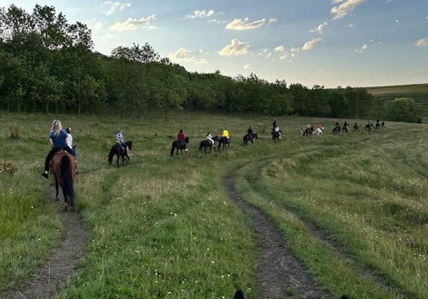Конная прогулка недалеко от Кисловодска (мини-группа) - фото 2