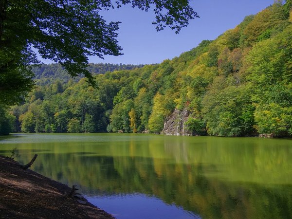 Олени, озеро Парз, треккинг с пикником и монастырь Гошаванк - фото 2