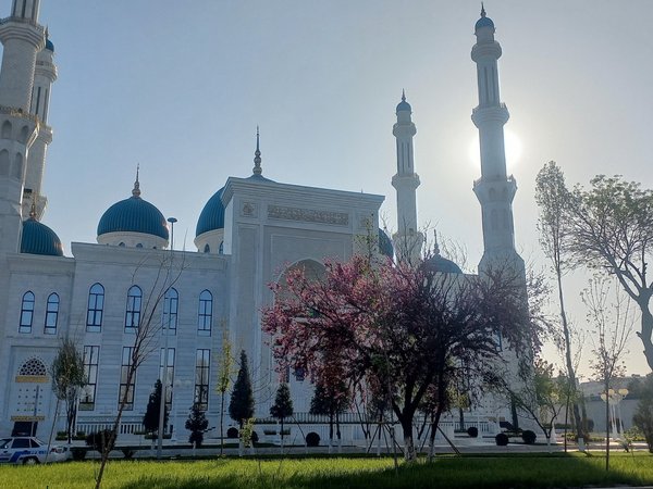 Не скучайте в аэропорту Ташкента!