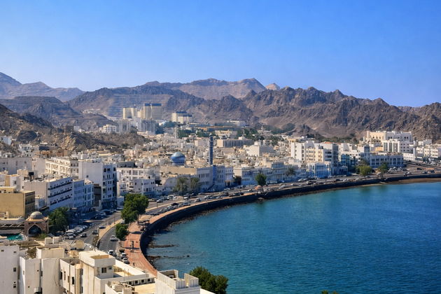 Фото экскурсии - Персональная ознакомительная прогулка по Маскату - 9