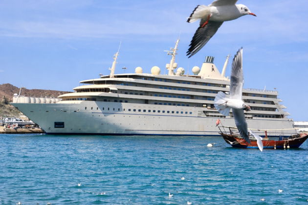 Фото экскурсии - Персональная ознакомительная прогулка по Маскату - 13