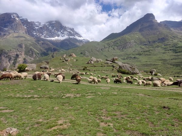 В сказочную Верхнюю Балкарию с местным жителем (из Нальчика) - фото 3