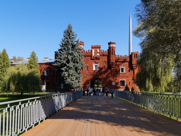 Из Минска — в Брест и Беловежскую пущу - фото 1