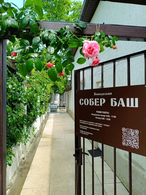 За видами и винами — на Собер Баш!