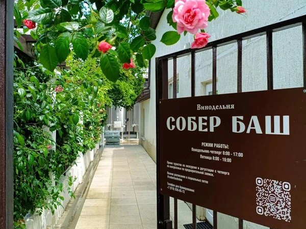 За видами и винами — на Собер Баш!