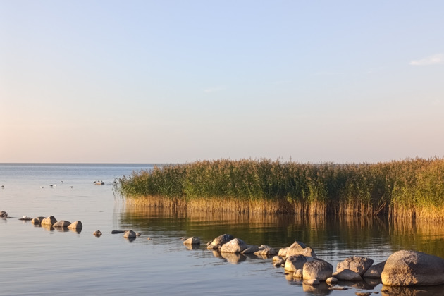 Фото - экскурсия: Путешествие по Балтийскому побережью: Куршская коса, Светлогорск и Зеленоградск