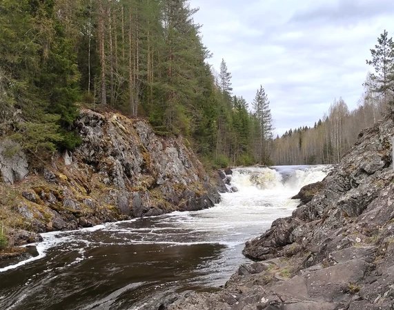 Из Петрозаводска — в сердце северной природы