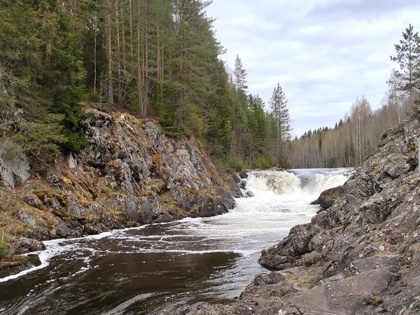 Из Петрозаводска — в сердце северной природы - фото 1