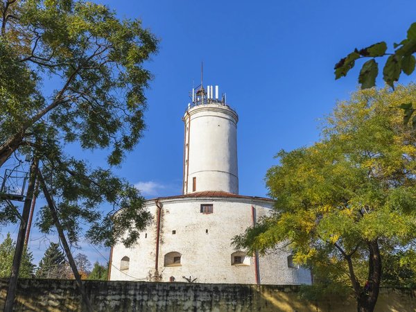 Из Баку — в Ленкорань: поездка в азербайджанские субтропики - фото 4