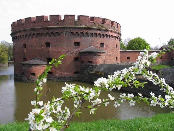 Город с богатым прошлым и перспективным будущим — по Калининграду на микроавтобусе