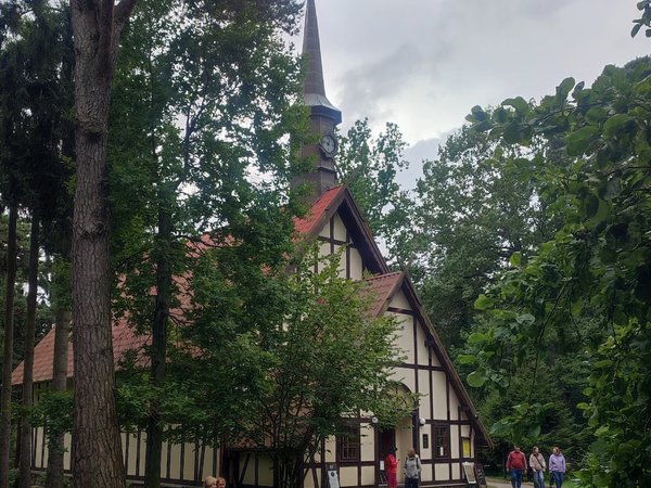 4 в 1: Балтийск, Янтарный, Филинская бухта и Светлогорск - фото 4