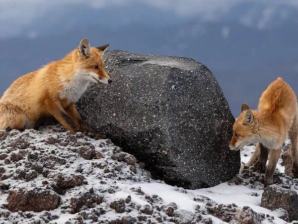 Приэльбрусье: самая высокогорная экскурсия из Нальчика - фото 4