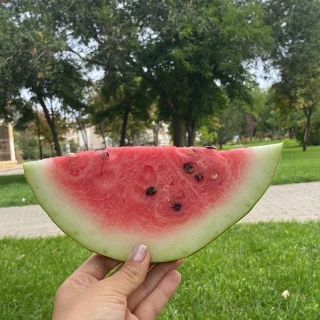 Арбуз, икра и осётр: нескучно о брендах Астрахани