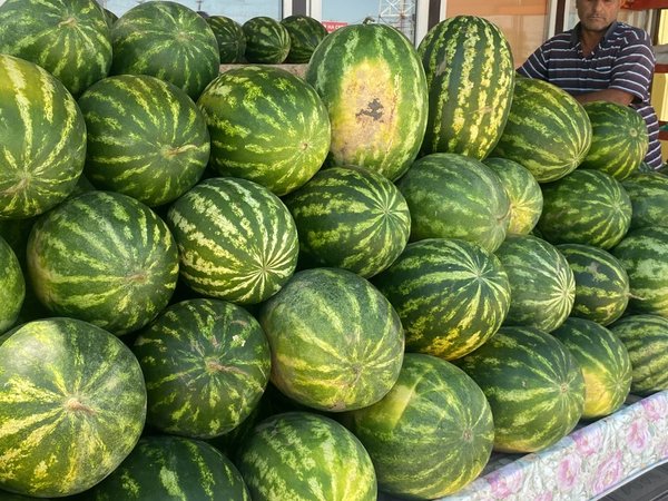Арбуз, икра и осётр: нескучно о брендах Астрахани - фото 3